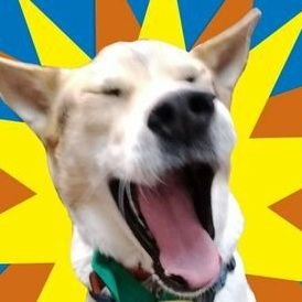 ChobiSun00's profile picture. 東海オンエア大好き。

高校卒業してニートになった
プログラミング？
phpはおしり