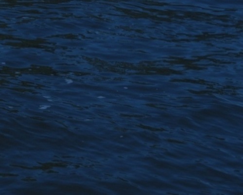 expert_problem's profile picture. Enjoy the outdoors, music and travel. Avid reader, self-proclaimed philosopher and consumer of food and water.