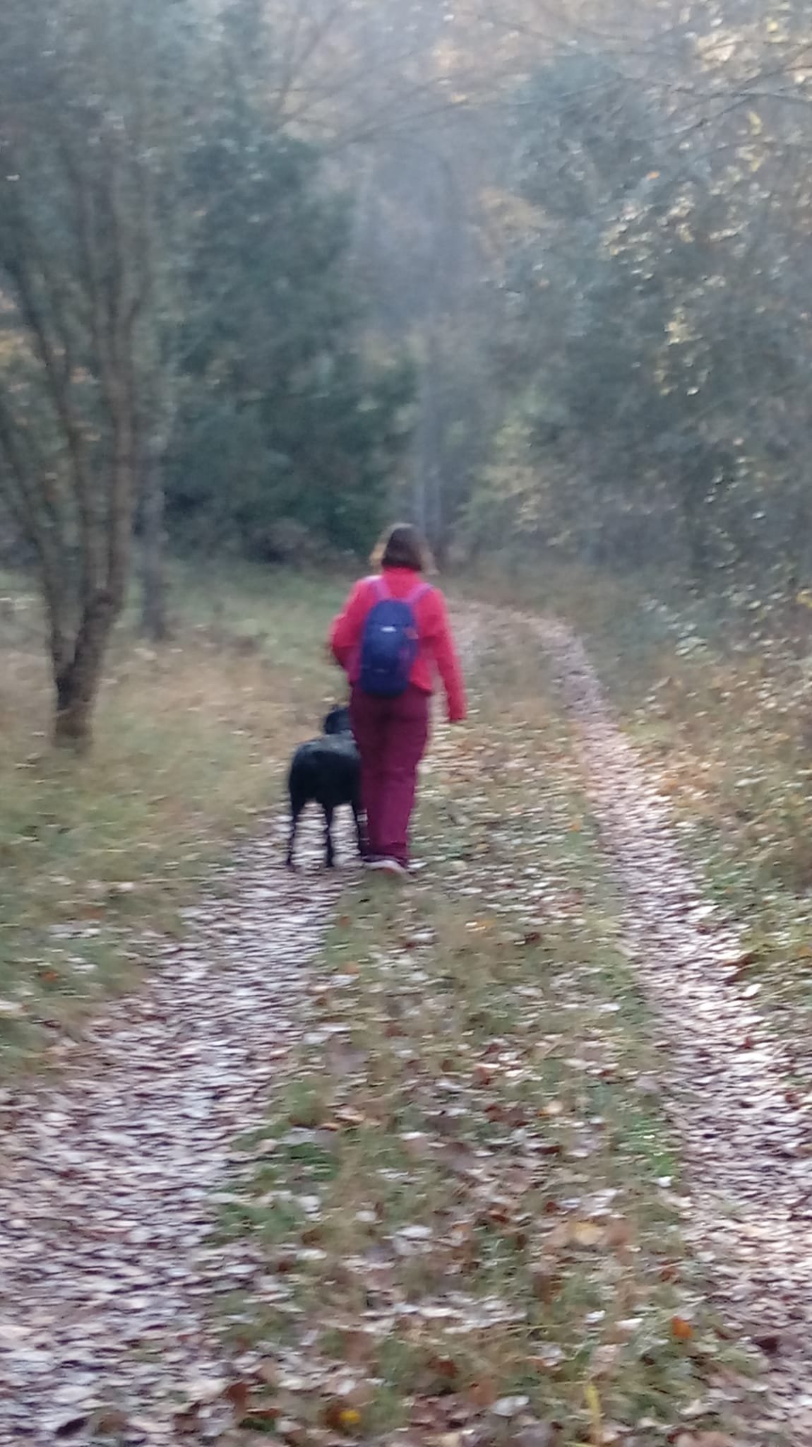 anatelerina's profile picture. Graduada en Derecho por  la Universidad de Alcalá de Henares. Gran amante de la literatura, la buena música y los animales.