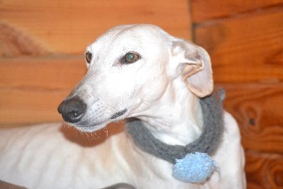 MGemaMC's profile picture. 