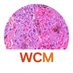 Weill Cornell Medicine Pathology (@WCMCPathology) Twitter profile photo