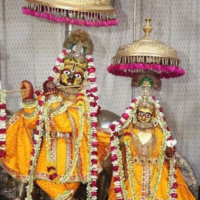 govinddevji3's profile picture. Radhy radhy hare krishana
