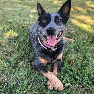 itssskyky's profile picture. 