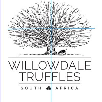 We are producers of quality Black Winter Truffles (Tuber Melanosporum) in South Africa. We harvest from June - August and ship fresh from the farm.