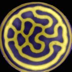 Laboratory of Nonlinear Chemical Dynamics, ELTE (@nonlinchem) 's Twitter Profile Photo Laboratory of Nonlinear Chemical Dynamics, ELTE (@nonlinchem) 's Twitter Profile Photo