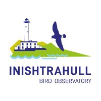 Inishtrahull Bird Observatory(@inishtrahullobs) 's Twitter Profile Photo