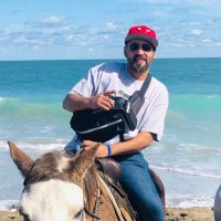 Carlito (@carlitod7) 's Twitter Profile