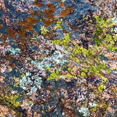 Kam90835373's profile picture. Not thinking too hard, just having fun with it