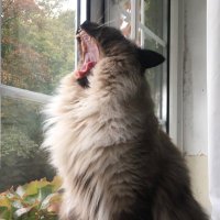 Judith Allen π (@juditheallen1) 's Twitter Profile