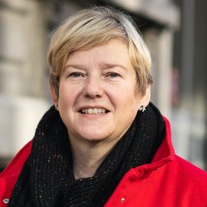 Leidend ambtenaar Iriscare (Bicommunautaire instelling voor Gezondheid, Bijstand aan Personen en Gezinsbijslag) Voorzitter KVS en RWDM Girls