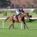 Equos Racing International (@equosracing) Twitter profile photo Equos Racing International (@equosracing) Twitter profile photo