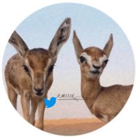 𐂂 (@rmii14_) 's Twitter Profile Photo 𐂂 (@rmii14_) 's Twitter Profile Photo