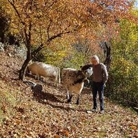 François Verrey (@francoisverrey) Twitter profile photo