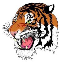 Strasburg Lady Tiger Hoops (@strasburggbb) 's Twitter Profile