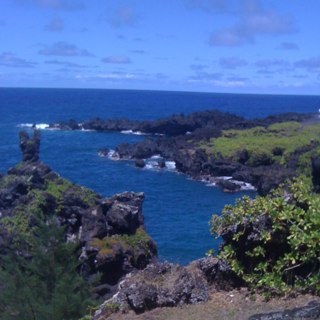 gottaflymom's profile picture. 