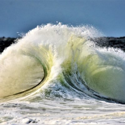 GMWags7's profile picture. wife, mother, grandmother, daughter. MAGA 🇺🇸🇺🇸🇺🇸