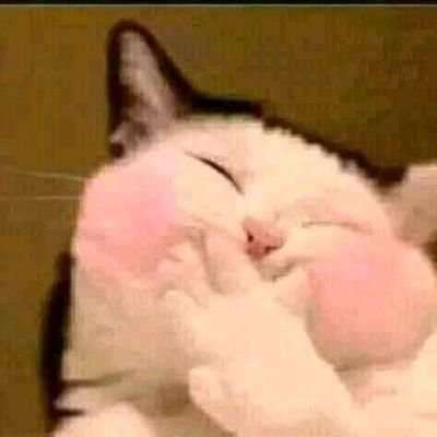 Brahimo25421098's profile picture. HB