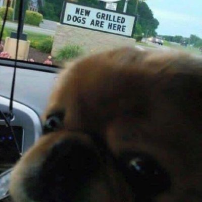 jubbajabba07's profile picture. fascism is not good in my opinion