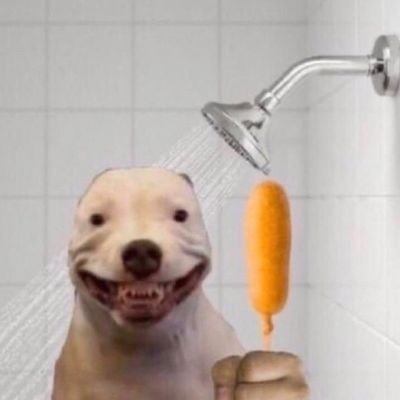 Justin82434578's profile picture. butta dog dog butta