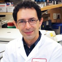 Mirko Paiardini (@paiardinilab) 's Twitter Profile