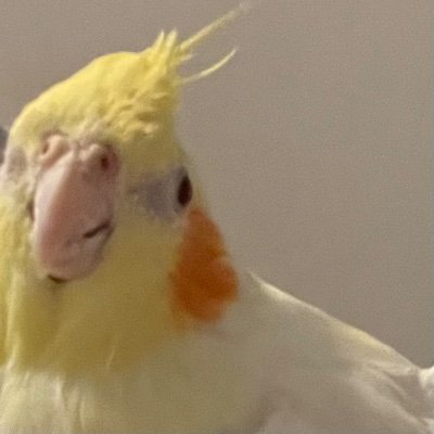 Jos92038359's profile picture. 