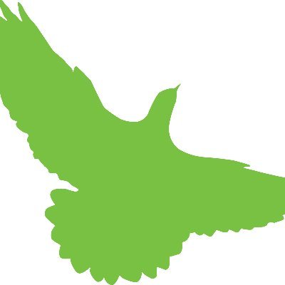 greenbirdmedia Profile Picture