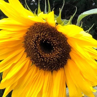 Whyleigh2's profile picture. Retired DOC,travel’s the plan, wife💓, grandma💞, mama💖, MIL💕, bird/nature lover, 🎶🏃‍♀️📚🧶