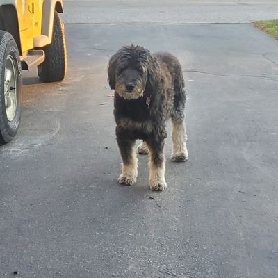 DMNom's profile picture. 