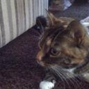 Mandy Noyes Hypnosis - @iiiMandyiii - Twitter