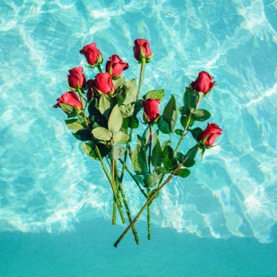 ghofranessamm's profile picture. أثرثر وأكتب عن كل شيء، عن فكرة، أو خاطرة عابرة. أشارككم ببعض الصور التي التقطتها أو نالت إعجابي