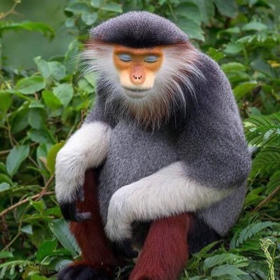 mr_fantastik2's profile picture. beat ya ass and hide the Bible if god watching