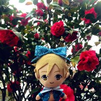 橘 (@yuiyui_tb) 's Twitter Profile