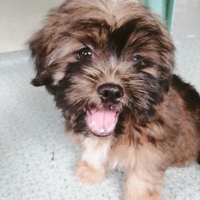 asly_eep's profile picture. 