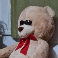 trolberg (@trolberg1) 's Twitter Profile