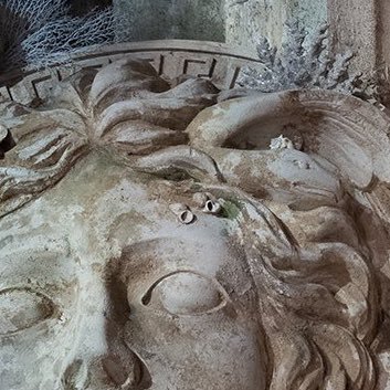 KJannat786's profile picture. 