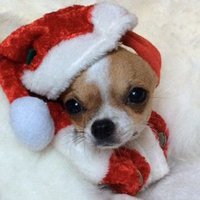 LiefdeIsAlles (@liefdeisalles6) 's Twitter Profile