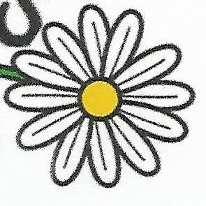 Maggiestenerife's profile picture. 🍪🍩🥧🧁🍫🇮🇨