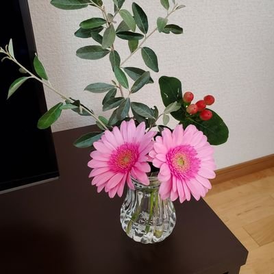 fbMYx0EqYe8fkf3's profile picture. 2021.8.1娘誕生💕🐣娘卵アレルギー🥚