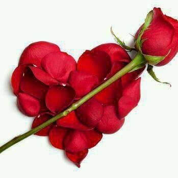 5ZPhnmiR1Rj5oRP's profile picture. لست الدرك لعشكم تفسيروتعليلآ اهوى قاتلياللحياة سبلااا