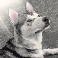 ℳ𝒪ℛ𝒢𝒜𝒩🌹 (@msmorgan1968) 's Twitter Profile Photo ℳ𝒪ℛ𝒢𝒜𝒩🌹 (@msmorgan1968) 's Twitter Profile Photo