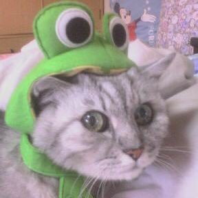 0yW99yYUDALSBaL's profile picture. 