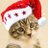 neco_hachi8
