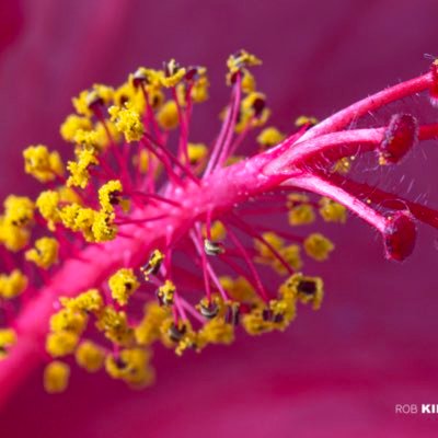 robert19431's profile picture. 