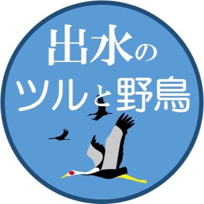 【 #バードウォッチング の #聖地 】
日本一のツルの渡来地 #鹿児島県出水市 。実はツルだけじゃない！
日本で見ることができる約600種類の野鳥のうち、半分の約300種類を見ることができる「バードウォッチングの聖地」でもあります。#出水市 に飛来した #ツル と #野鳥 をご紹介します！