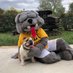 Lucky the Bulldog (@luckythebulldog) Twitter profile photo Lucky the Bulldog (@luckythebulldog) Twitter profile photo