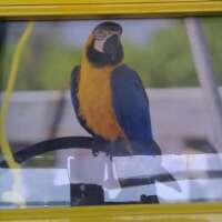 wiski444's profile picture. 