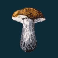 GlobalFungi(@globalfungi) 's Twitter Profile Photo