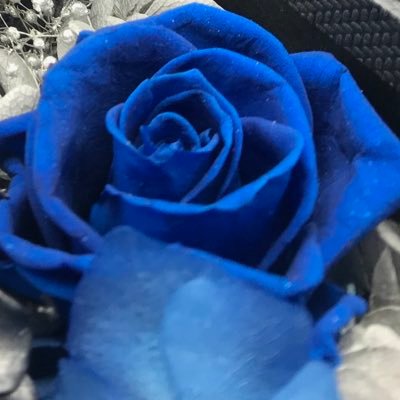 Blue rose☆さん専用 BLUE ROSE【PHOTO】 on X