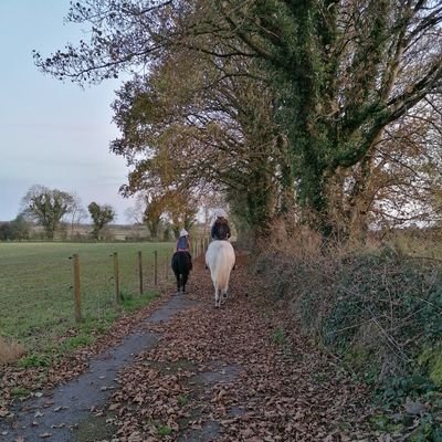 sineadflynnking's profile picture. 