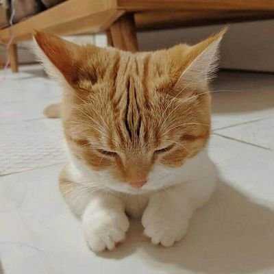 suhaib_fadl's profile picture.